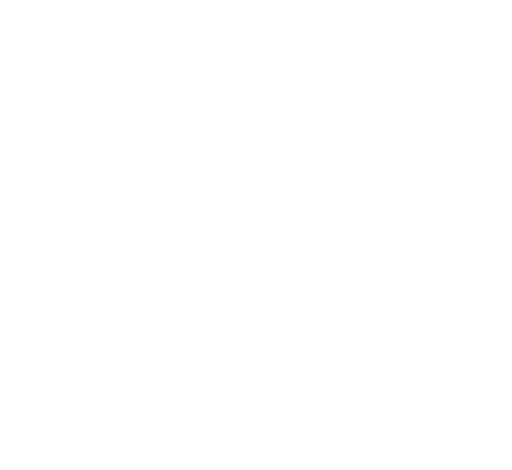 Noosh Drinks